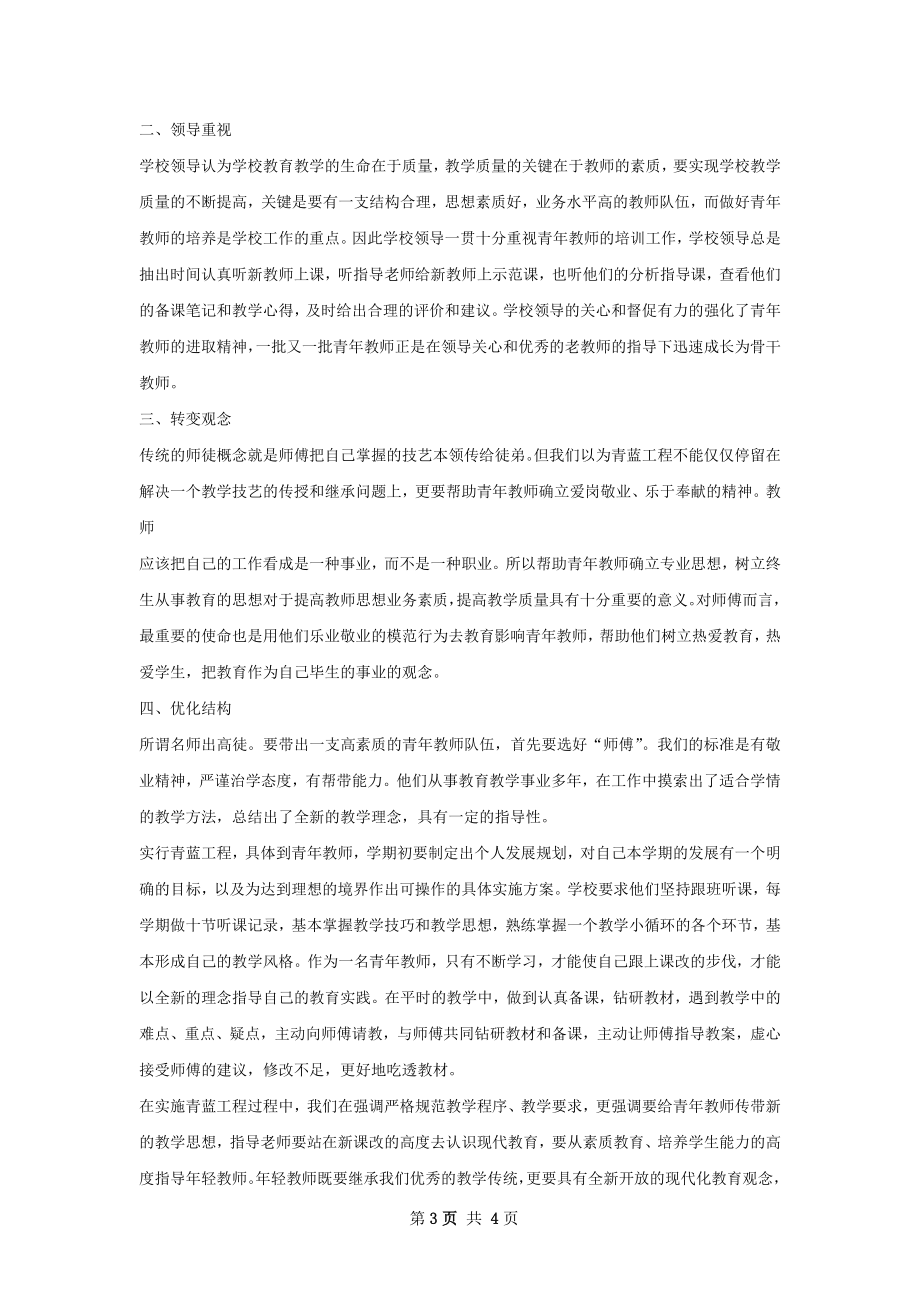 青蓝工程总结精选范本如何写.docx_第3页