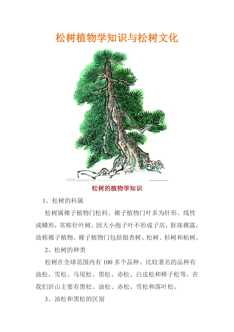 松树植物学知识与松树文化.doc_第1页