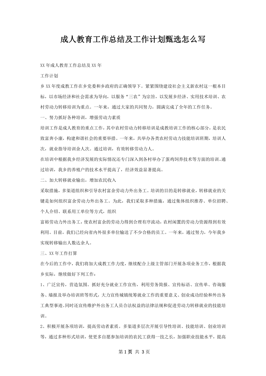 成人教育工作总结及工作计划甄选怎么写.docx_第1页