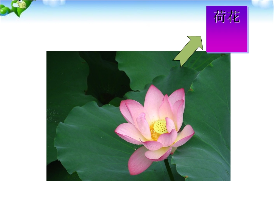 部编版ppt课件《江南》.ppt_第2页