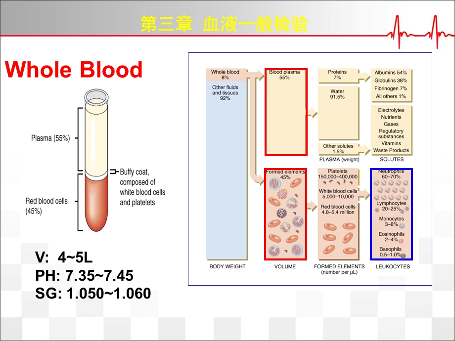 红细胞检验优质ppt课件.ppt_第2页