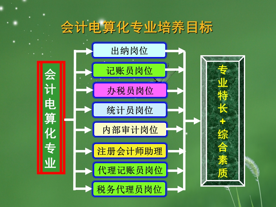 纳税实务课程整体设计介绍课件.ppt_第3页