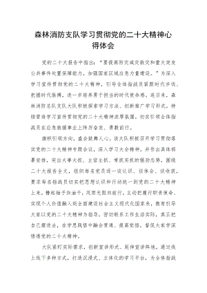 森林消防支队学习贯彻党的二十大精神心得体会.docx