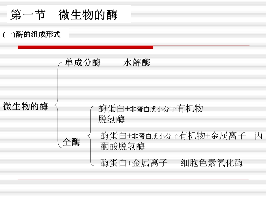 微生物的酶课件.ppt_第3页