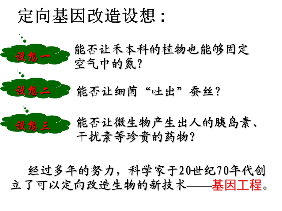 基因工程的基本工具课件.ppt_第3页