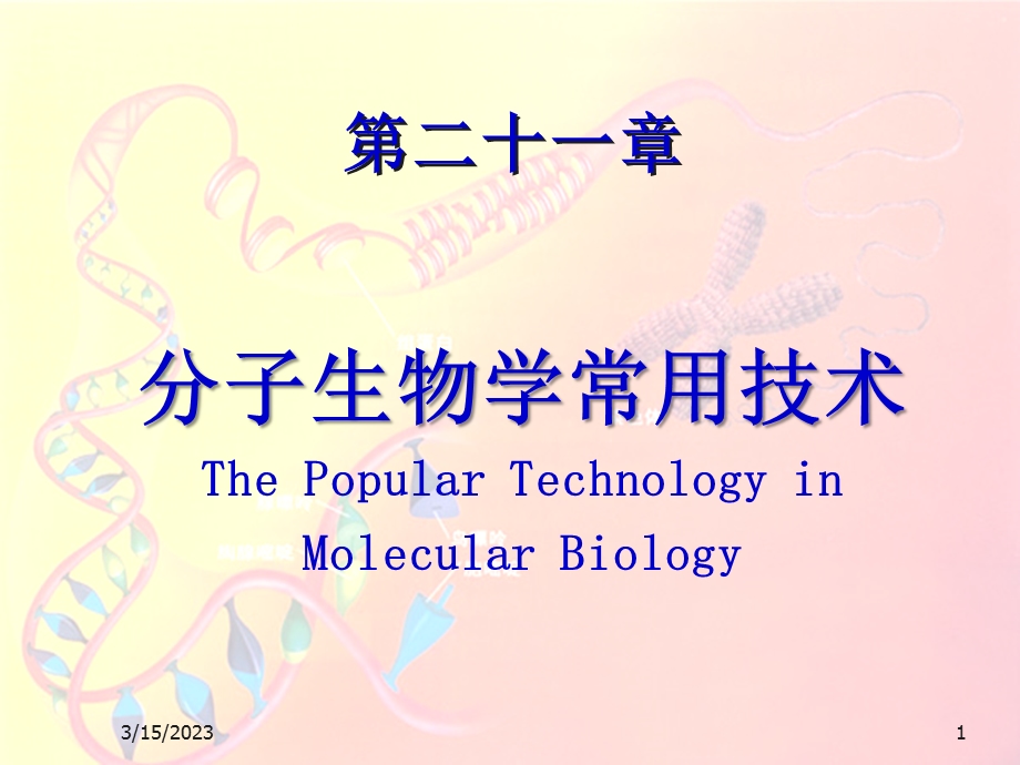 分子生物学常用技术课件.pptx_第1页