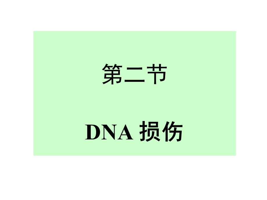 DNA的损伤与修复讲义课件.ppt_第2页