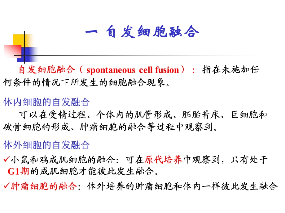 动物细胞融合课件.ppt_第3页