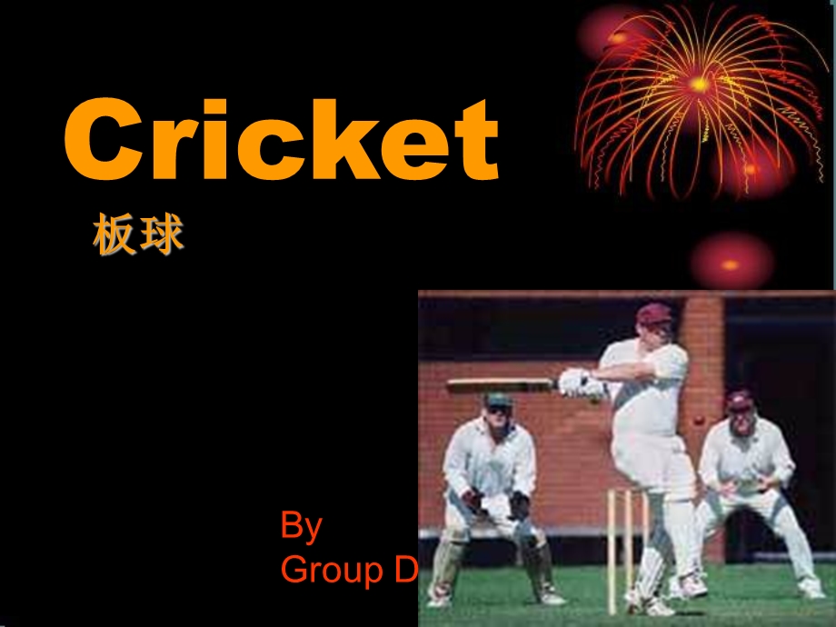 Cricket 4 板球介绍.ppt_第1页