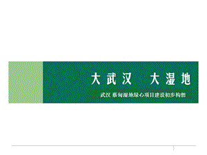 755088782武汉蔡甸湿地绿心项目建设初步构想 37p.ppt