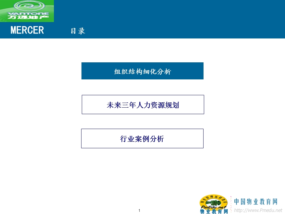 万通地产组织体系设计与人力资源规划.ppt_第2页