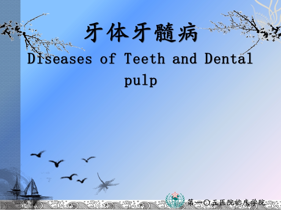 牙体牙髓病.ppt_第1页