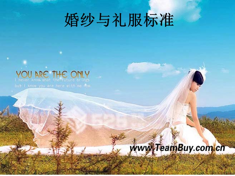 婚纱与礼服标准.ppt_第1页