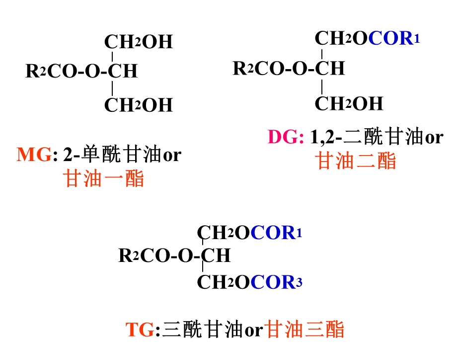 脂质代谢.ppt.ppt_第3页