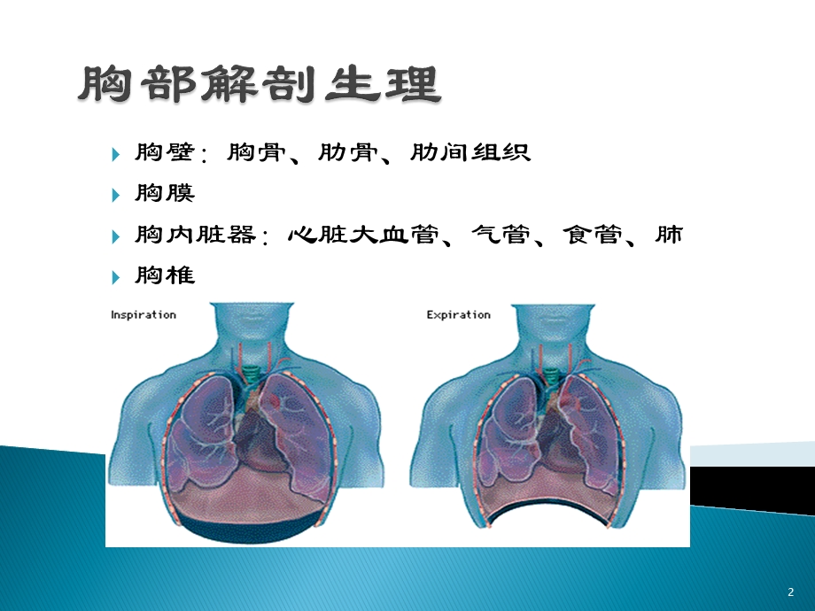 胸外科常见疾病概述课件.ppt_第2页