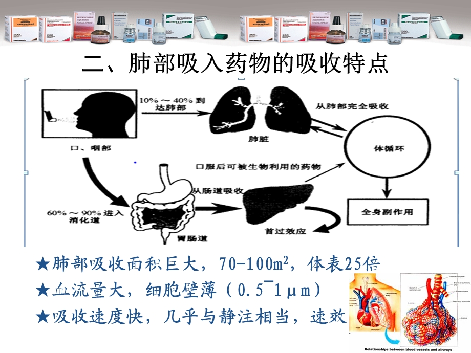 气雾剂喷雾剂与粉雾剂课件.ppt_第3页