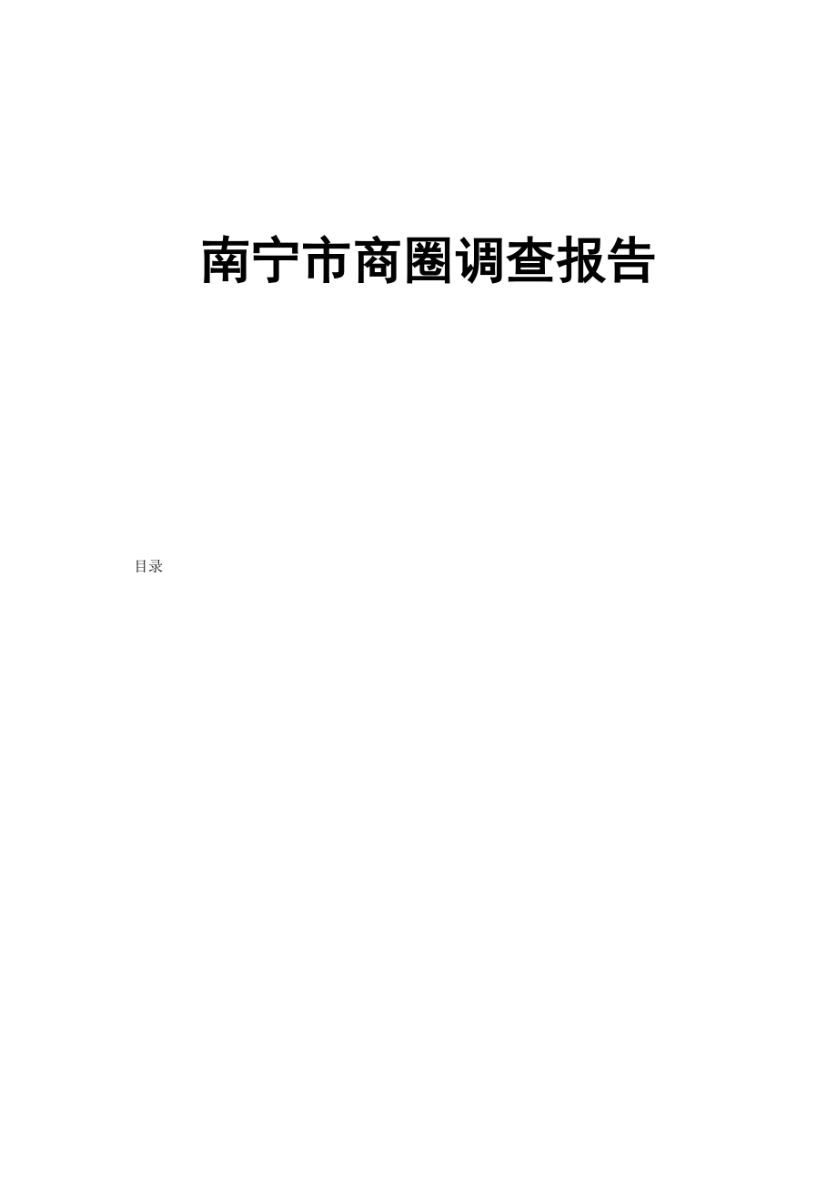 南宁商圈调查报告.doc_第1页