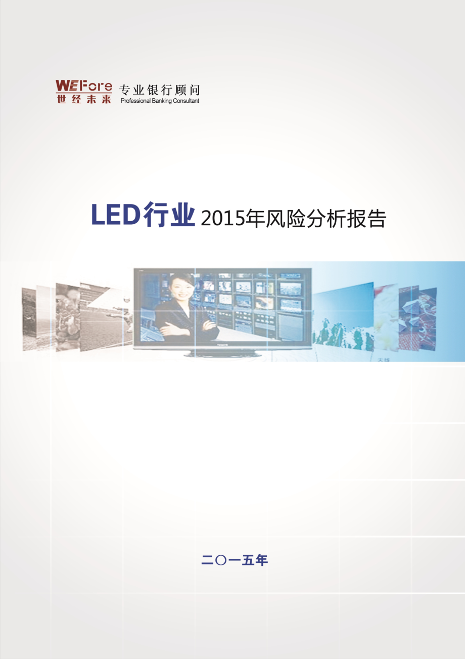 LED行业风险分析报告.doc_第1页