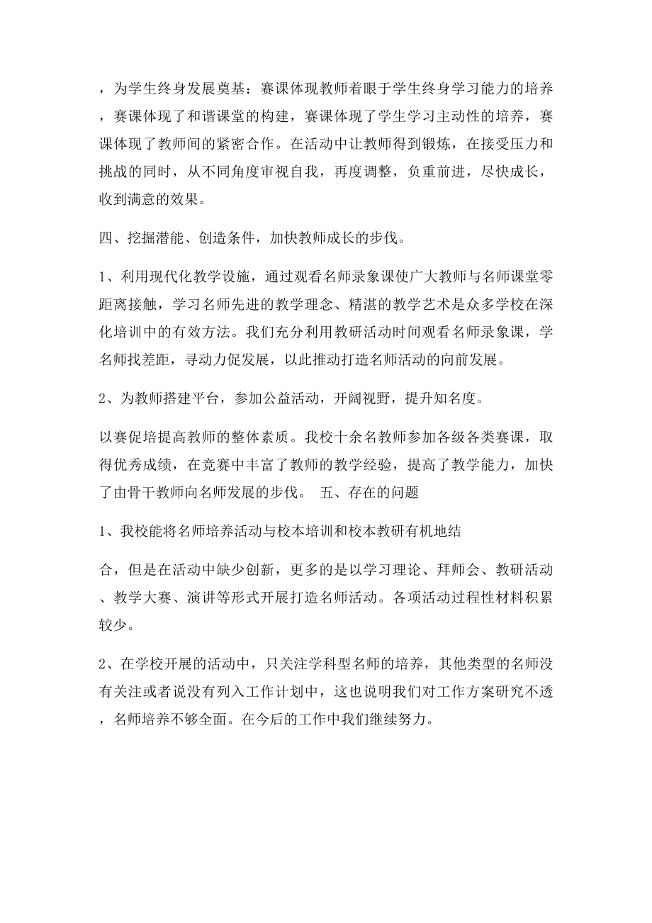 名师培养总结.docx_第2页