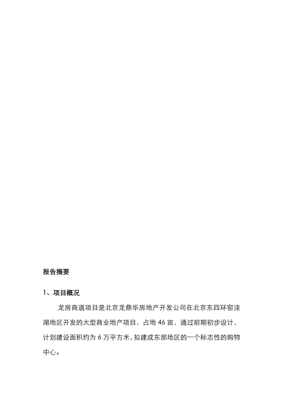 龙鼎华可行性研究报告0908完整版.doc_第3页