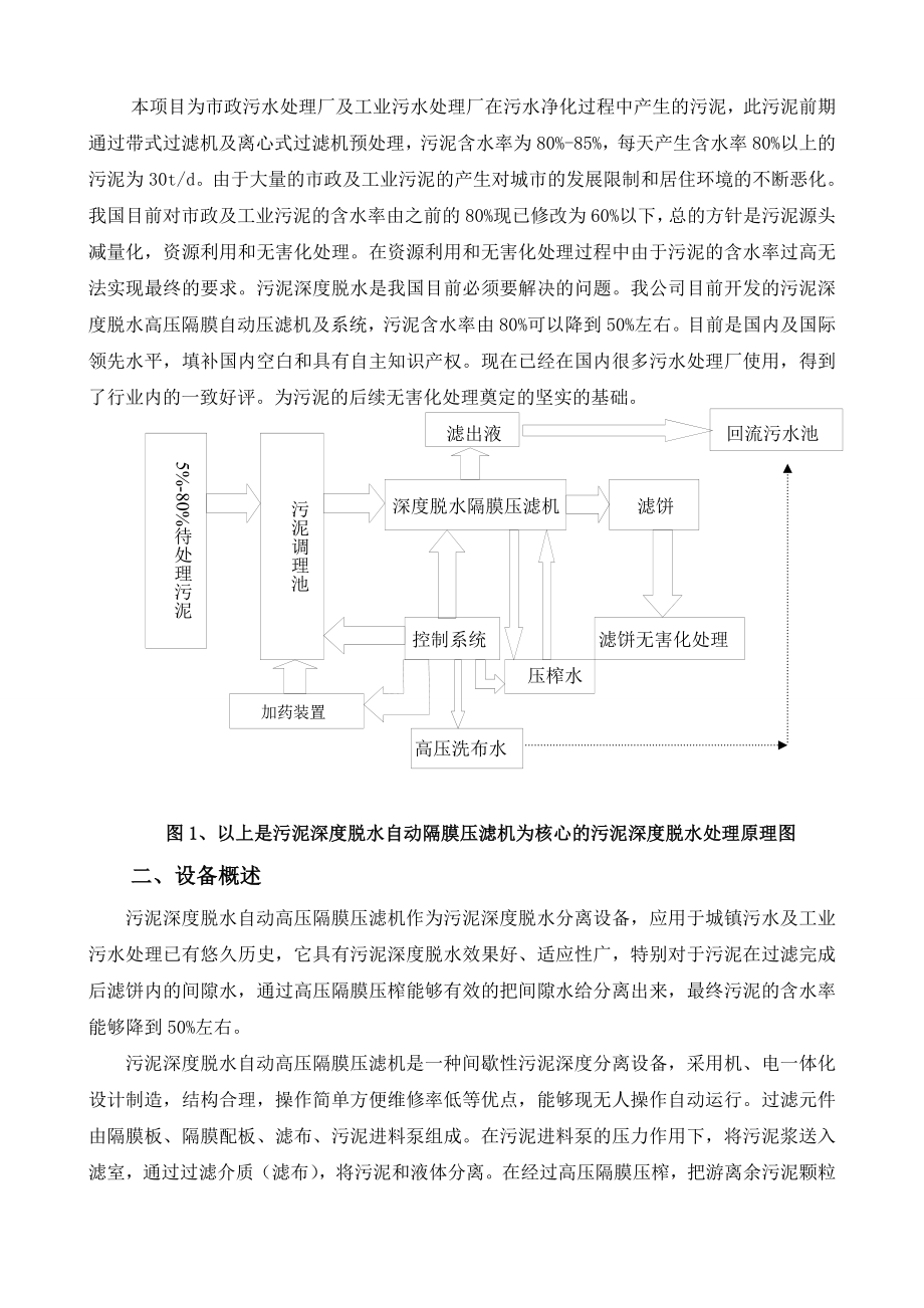 高压隔膜压滤机在污泥深度脱水技术资源化、无害化利用处置污泥深度脱水可行性方案.doc_第2页