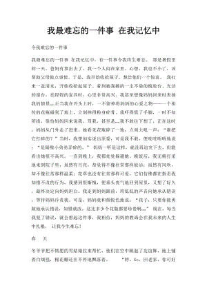 我最难忘的一件事 在我记忆中.docx