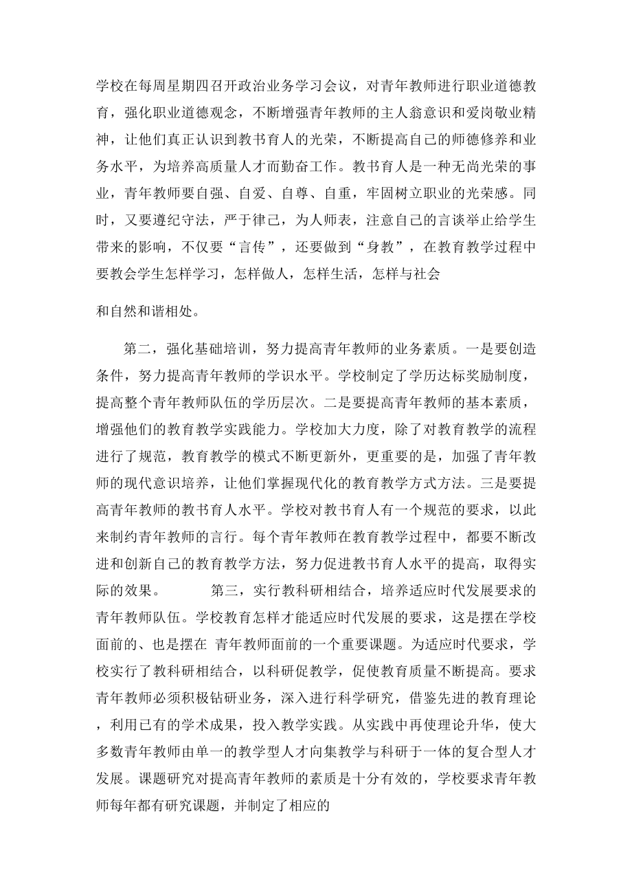 学校青年教师队伍建设存在的问题及对策.docx_第3页