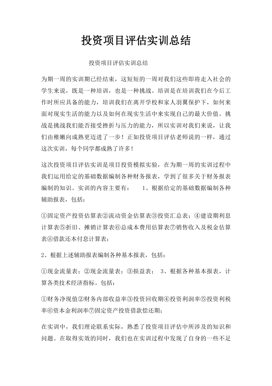 投资项目评估实训总结.docx_第1页