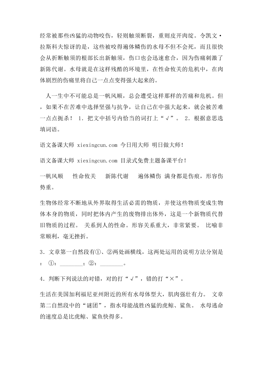 小学五年级语文期中复习资料.docx_第3页