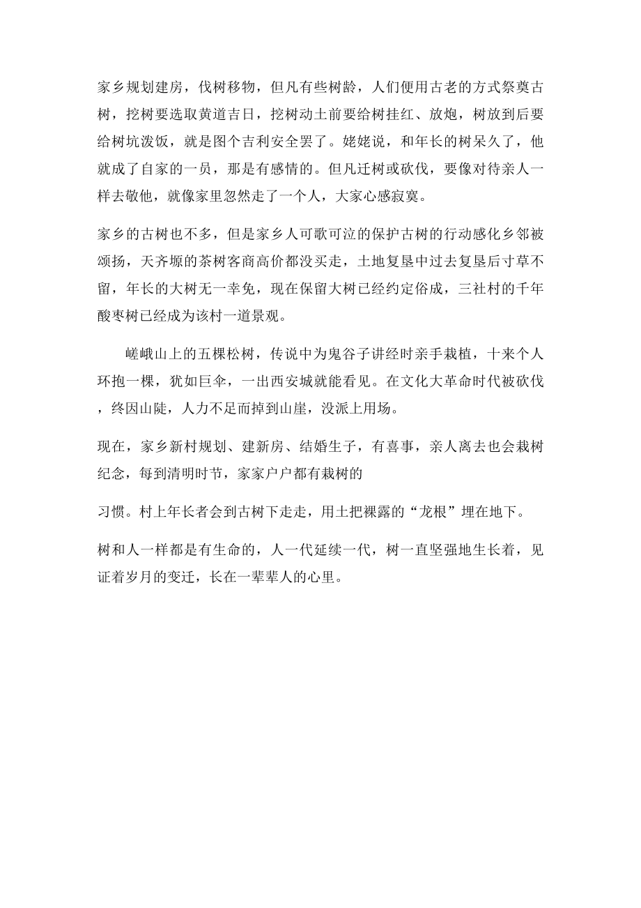 家乡的古树.docx_第2页