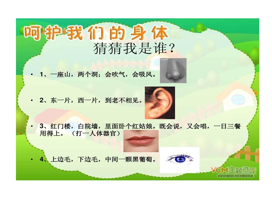 爱护自己身体课件.ppt_第2页