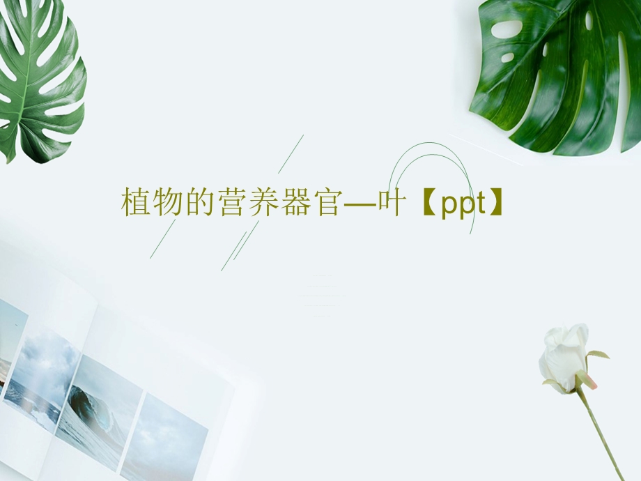 植物的营养器官叶课件.ppt_第1页