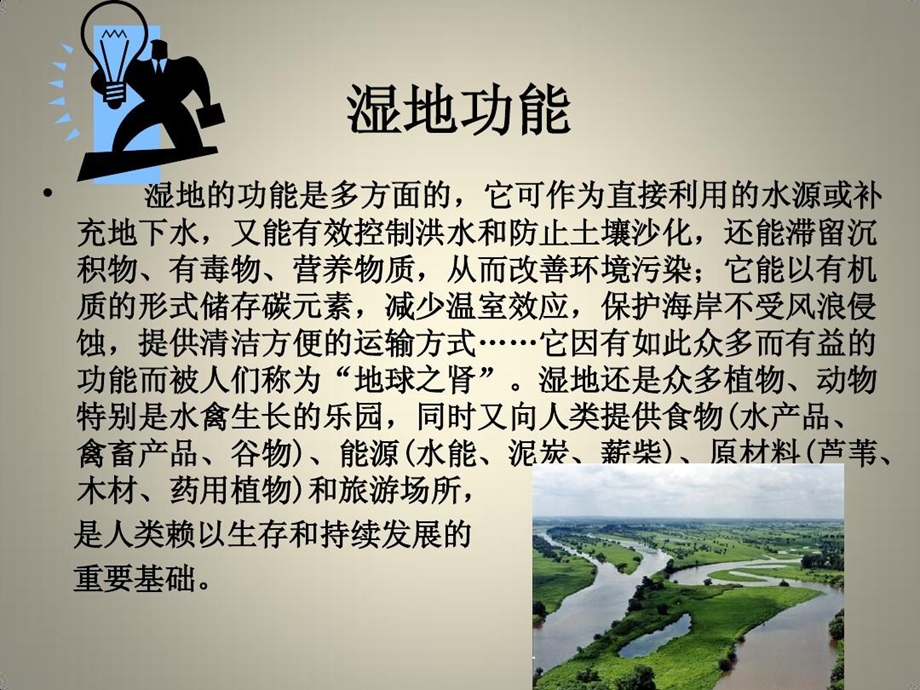 湿地对环境的影响课件.ppt_第3页