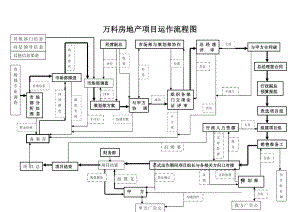 宝典万科房地产项目运作流程图30049.doc