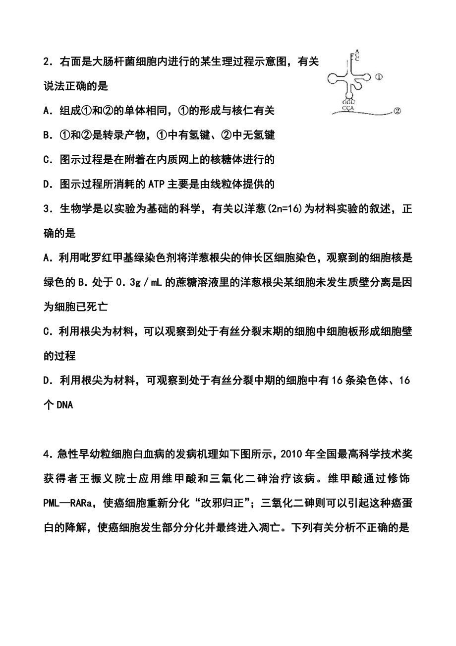 山东省日照市高三5月校际联合检测（二模）理科综合试题及答案.doc_第2页