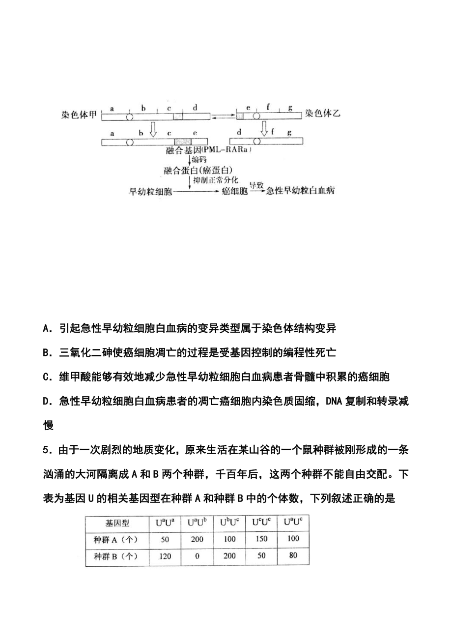 山东省日照市高三5月校际联合检测（二模）理科综合试题及答案.doc_第3页