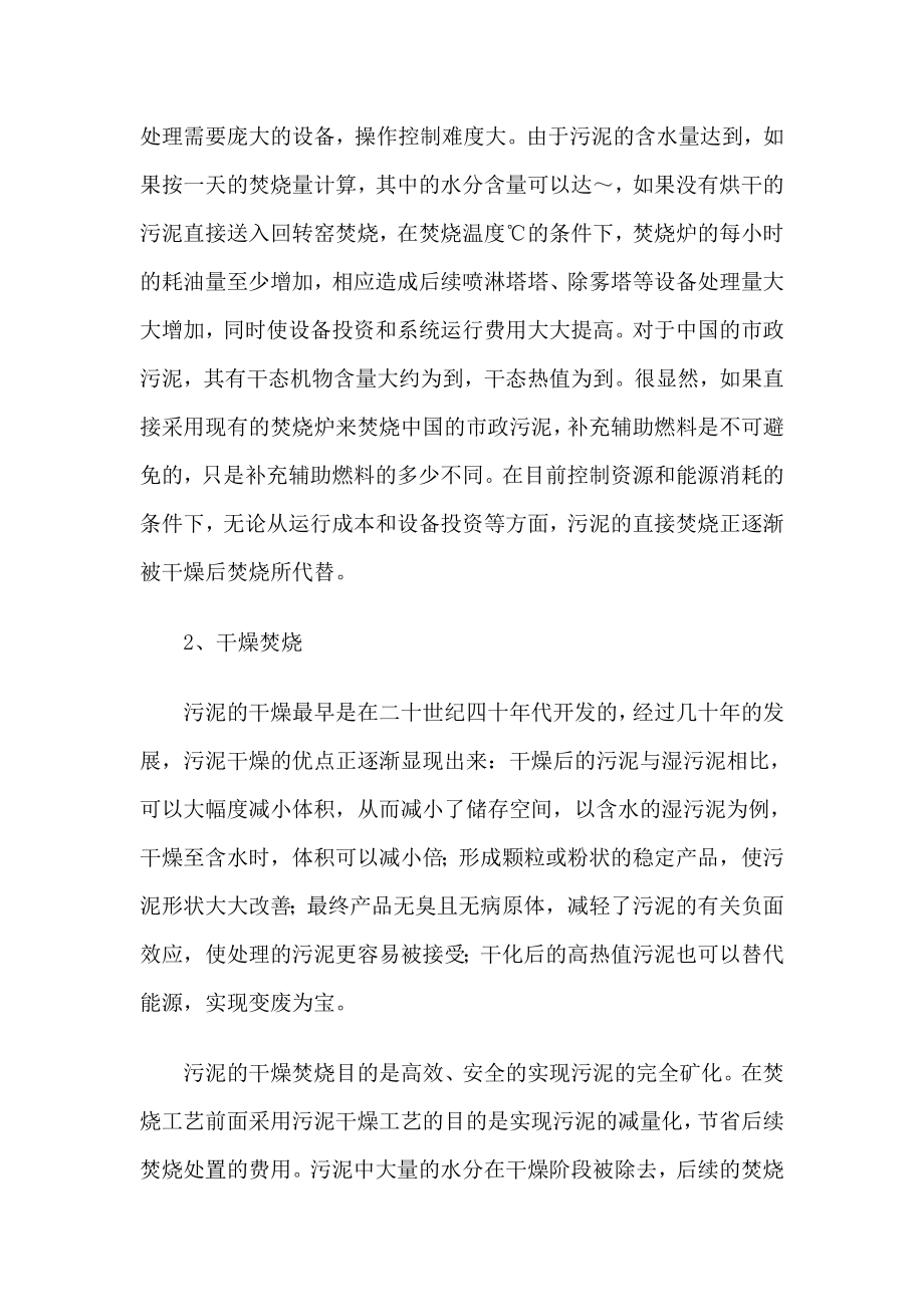 造纸企业污泥干燥焚烧系统.doc_第3页