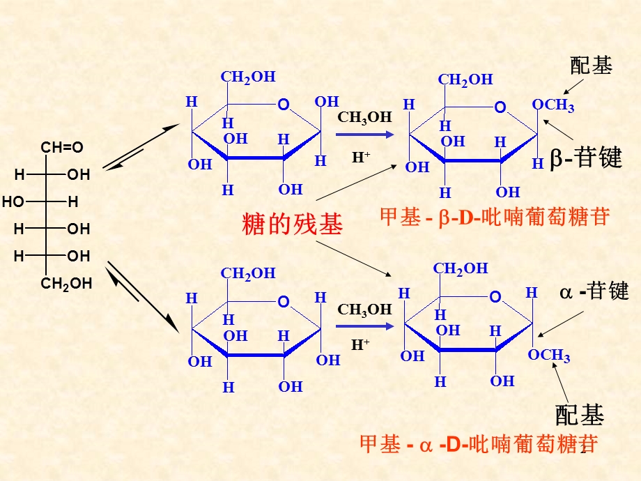 有机化学糖类.ppt_第2页