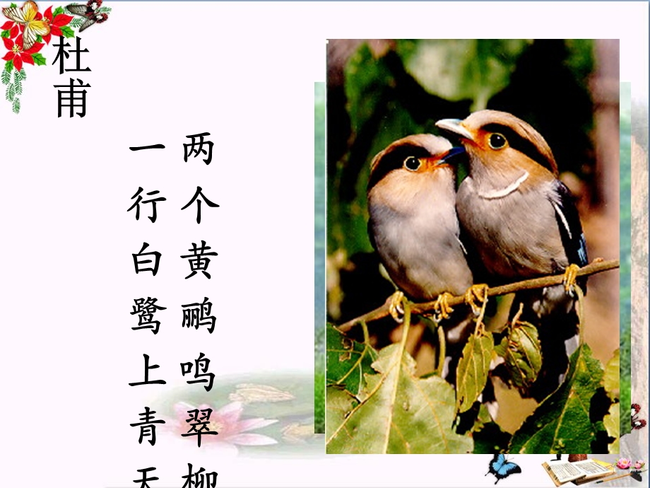 动物在生物圈中的作用课件 .ppt_第2页