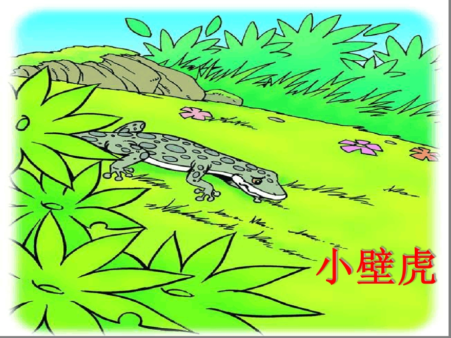 小壁虎借尾巴第二课时-ppt课件.ppt_第2页