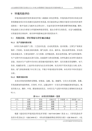 环境影响评价报告全本公示简介：09 环境风险评价wan.doc