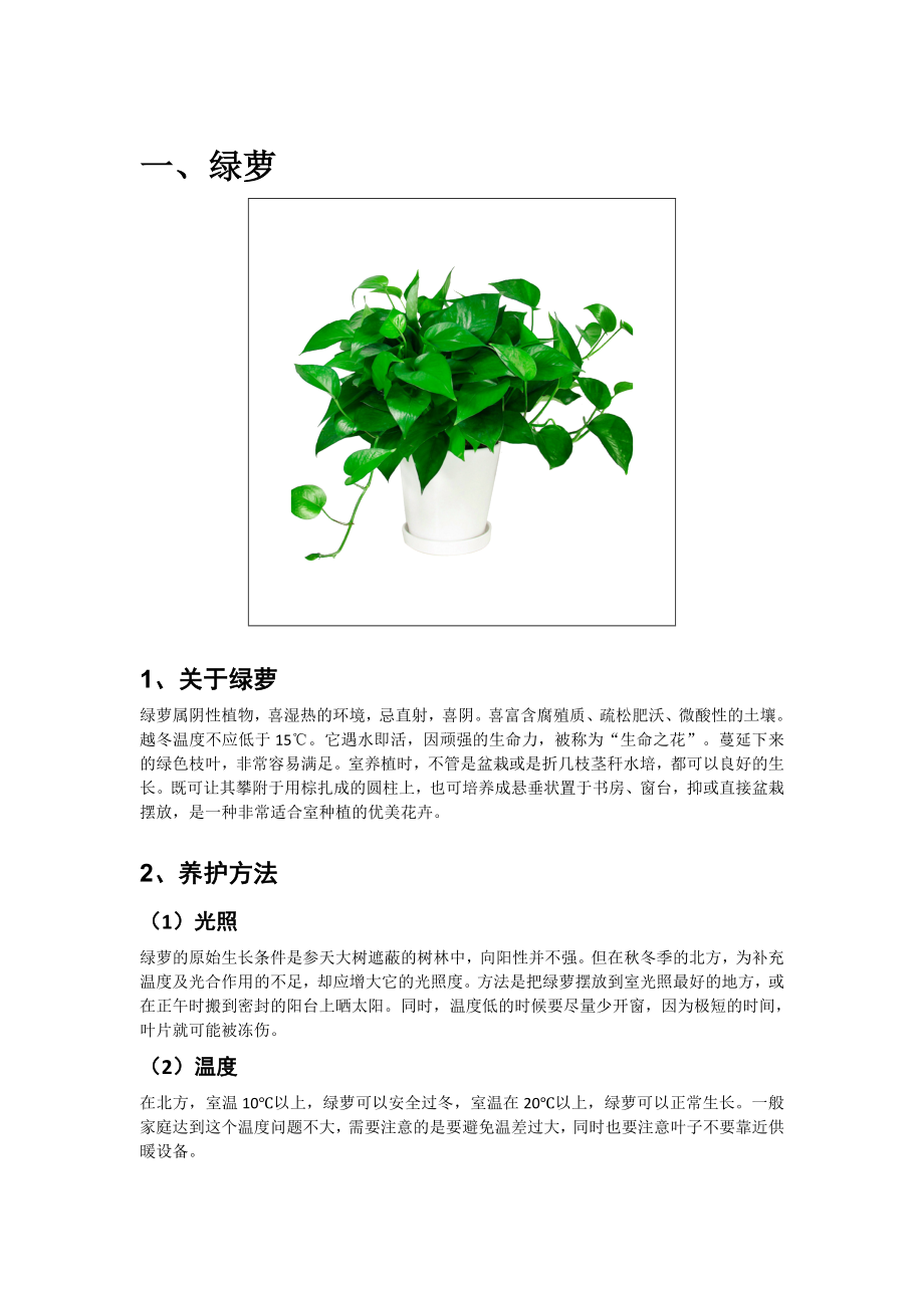 办公室绿植养护管理手册范本.doc_第3页
