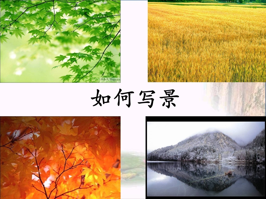 中考作文中考专享写景作文指导课件.ppt_第2页