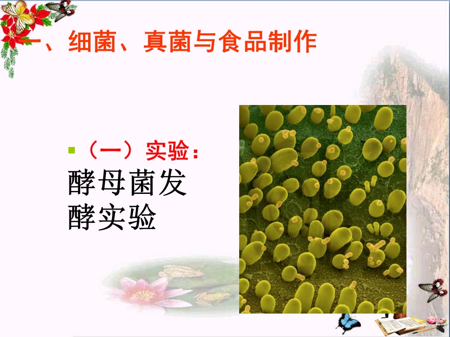 《人类对细菌和真菌的利用》细菌和真菌课件.ppt_第3页