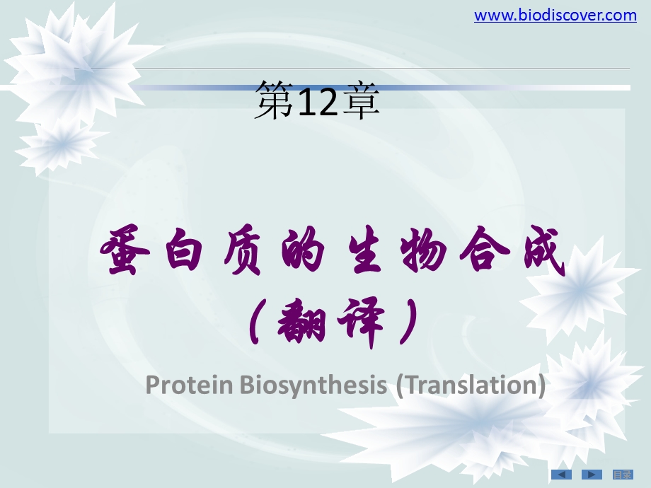 蛋白质的生物合成课件.ppt_第1页