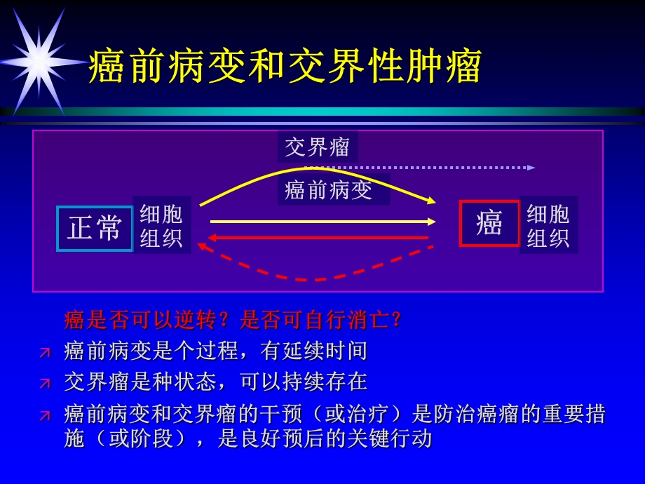 妇科肿瘤总论课件.ppt_第3页