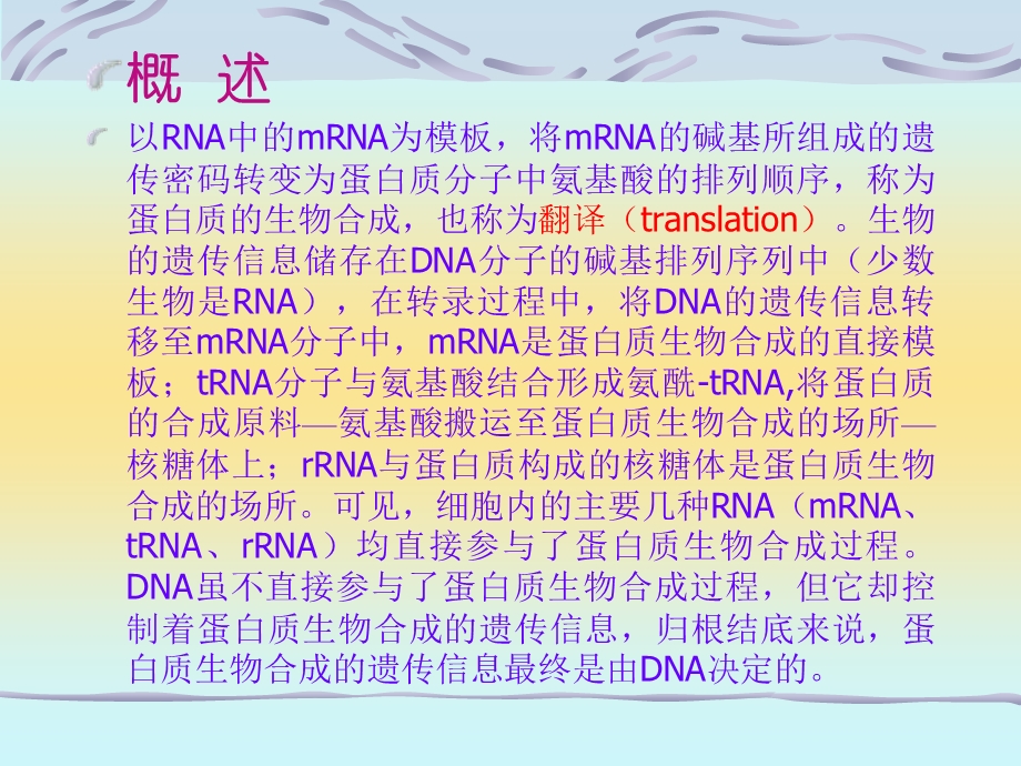 七年制医学ppt课件 生化 蛋白质的生物合成.ppt_第2页