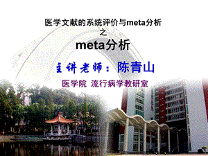 (循证医学ppt课件）第6章2医学文献的系统评价与meta分析之meta分析.ppt