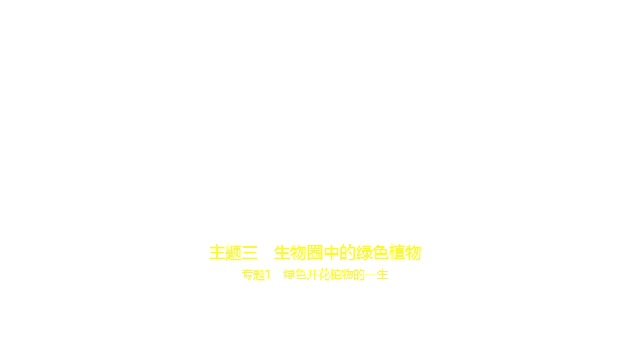 2021年北京中考生物复习练习ppt课件：03主题三--专题1-绿色开花植物的一生.pptx_第1页