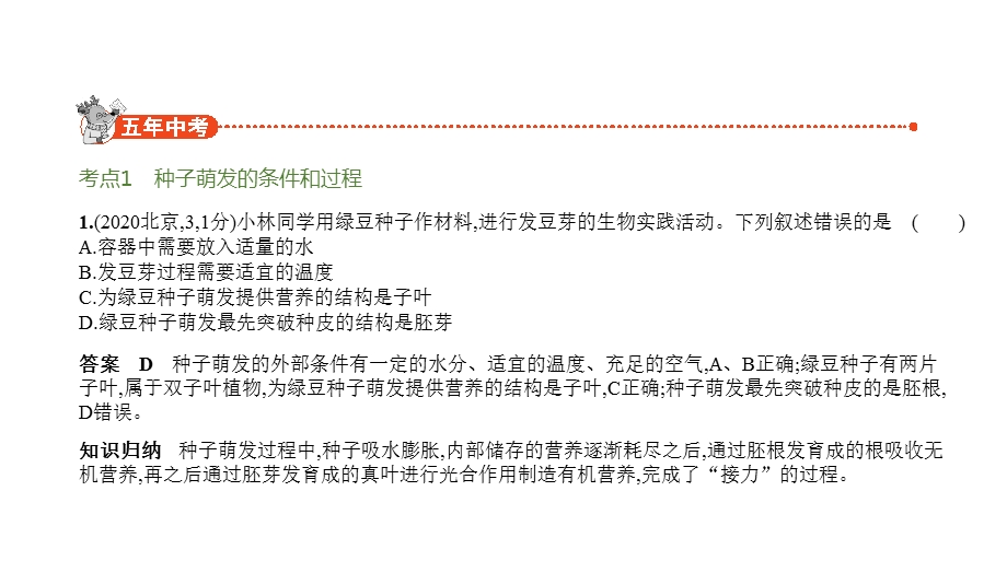 2021年北京中考生物复习练习ppt课件：03主题三--专题1-绿色开花植物的一生.pptx_第3页